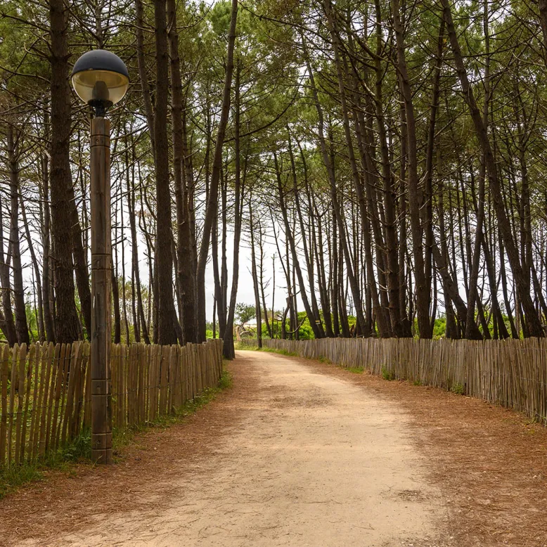 Plage du Vivier