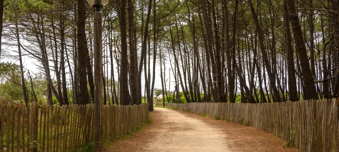 Plage du Vivier