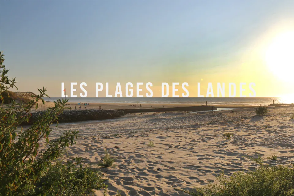 Plage Nord Biscarosse