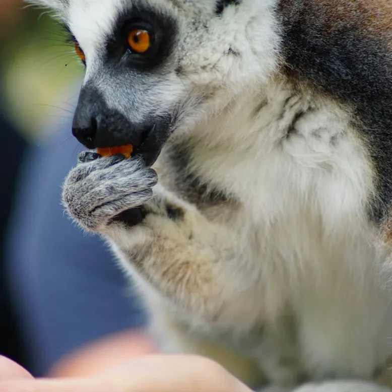 Zoo de Labenne