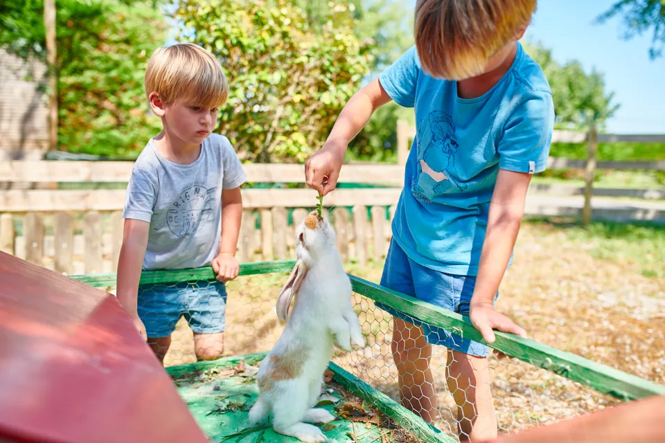 Ferme des 4 Chênes