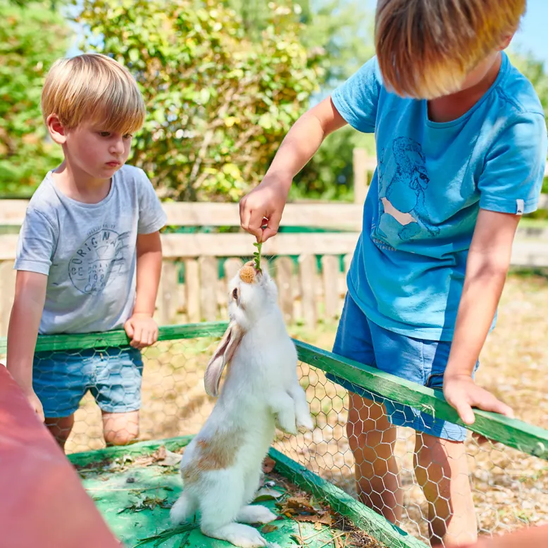 Ferme des 4 Chênes