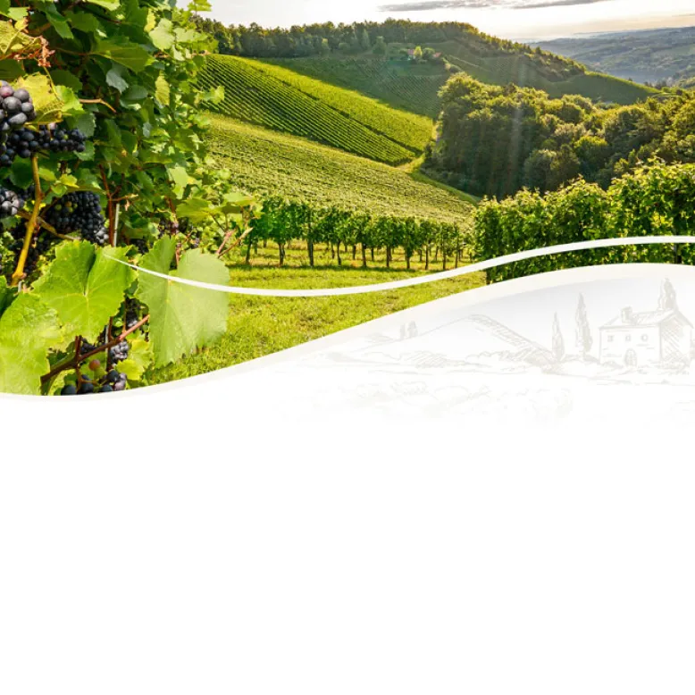 Paguy - Domain in Armagnac