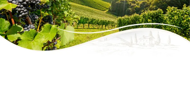 Paguy - Domaine en Armagnac