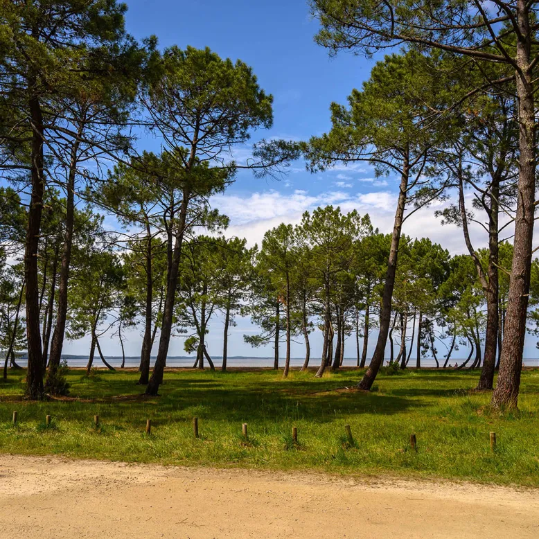 Lac de Sanguinet beaches