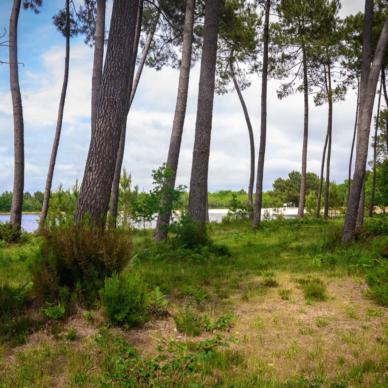 Plage du Lac de Labouheyre
