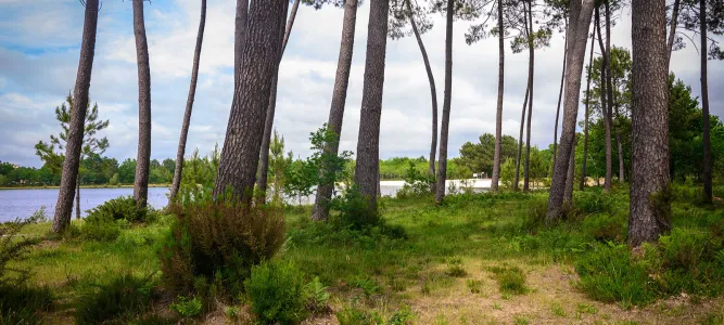 Plage du Lac de Labouheyre