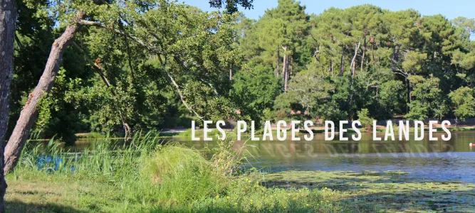 Plage du Lac à Vielle