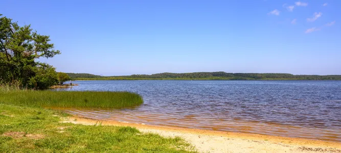 Plage du Lac de Léon