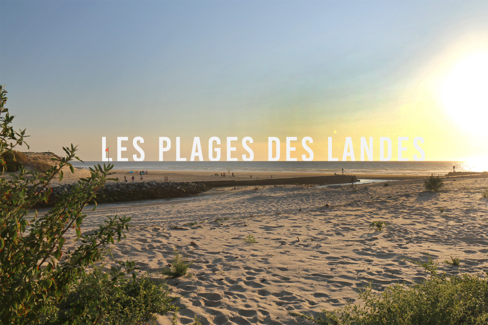 CPA Capbreton-sur-Mer - Le Signal - Barques sur le Boudigau (111461