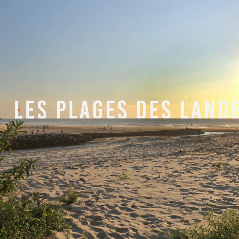 Plage de la Digue