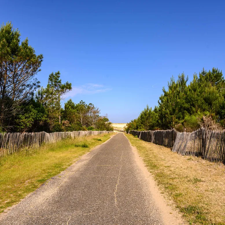 Sentier de découverte « l’Etang du Bourg Vieux »