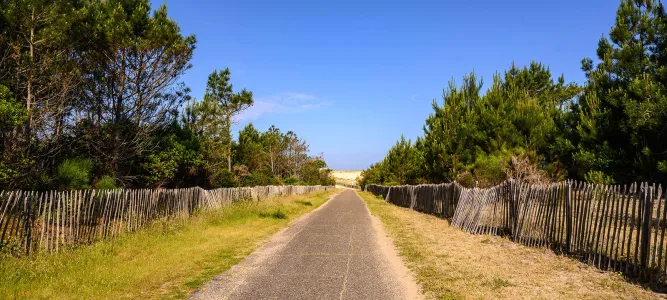 Sentier de découverte « l’Etang du Bourg Vieux »