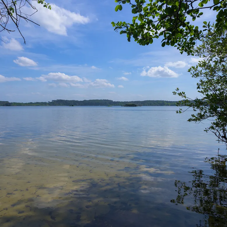 Etang Blanc