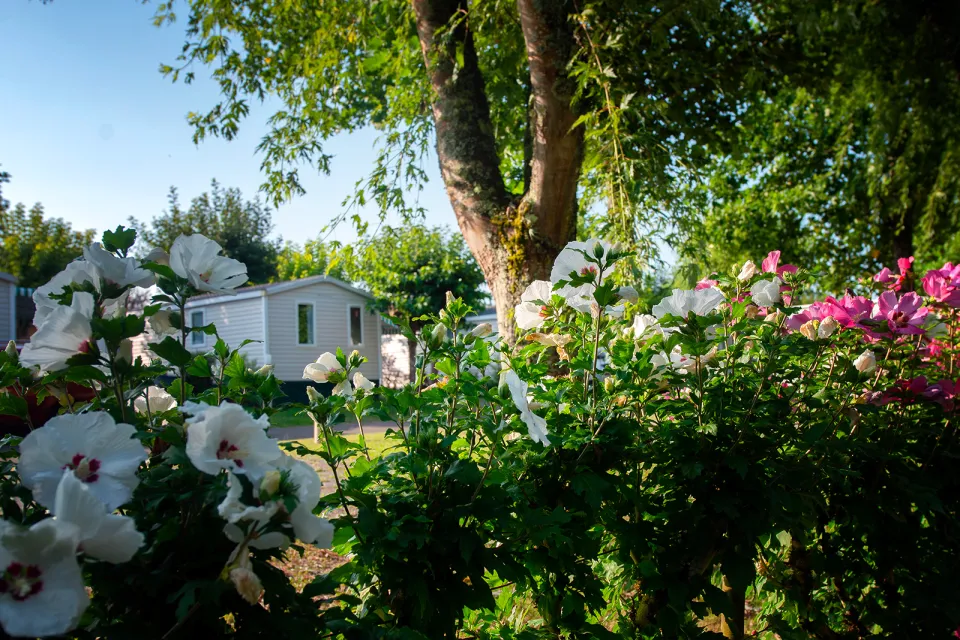 Camping Le Bascat
