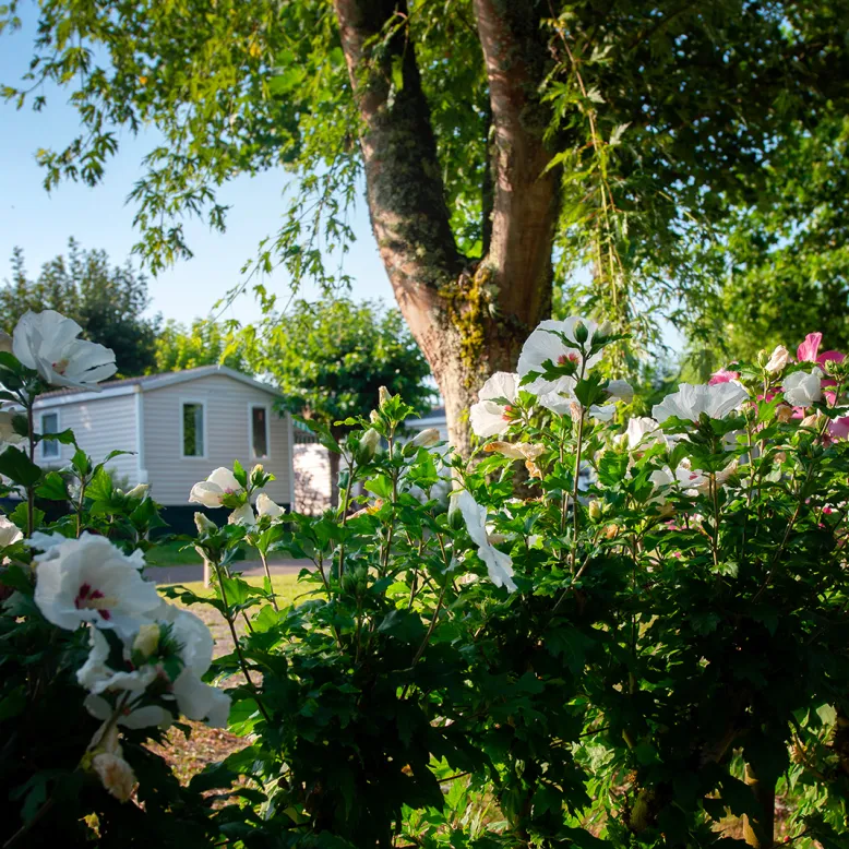 Camping Le Bascat