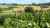 La Chalosse - Conservatory of grape varieties