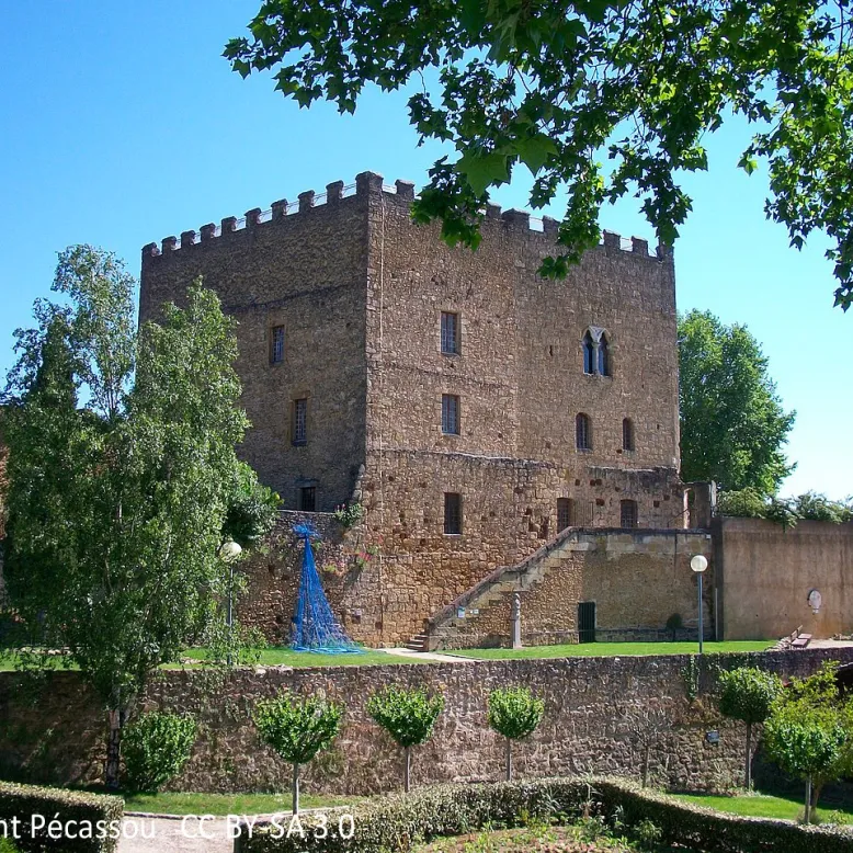 Le Donjon de Lacataye