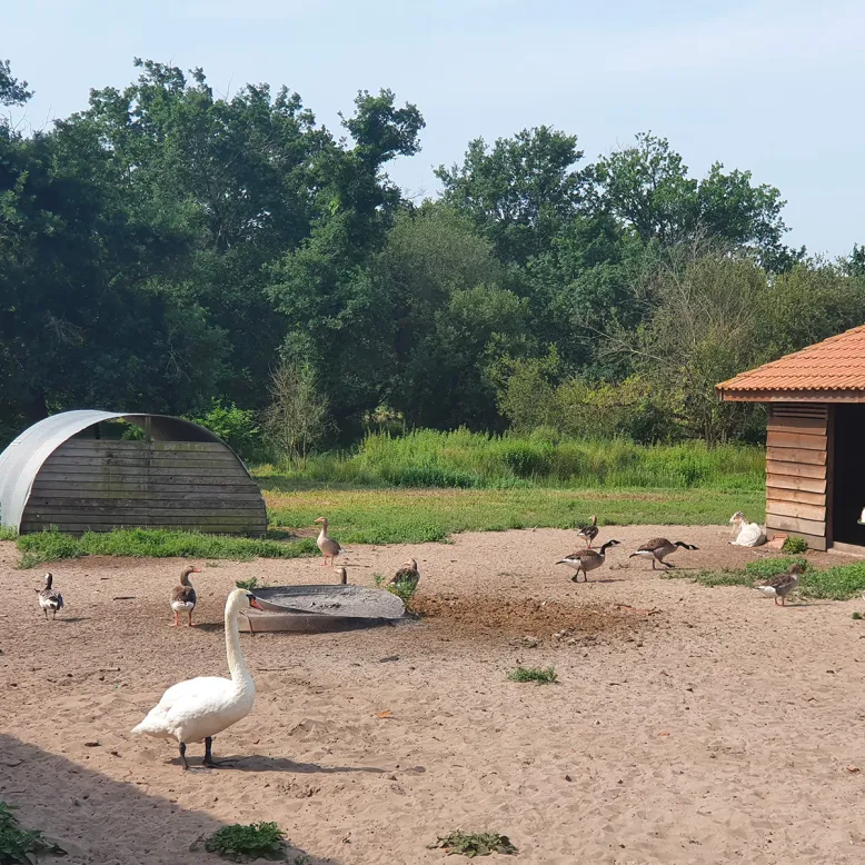 Ferme de Lanès