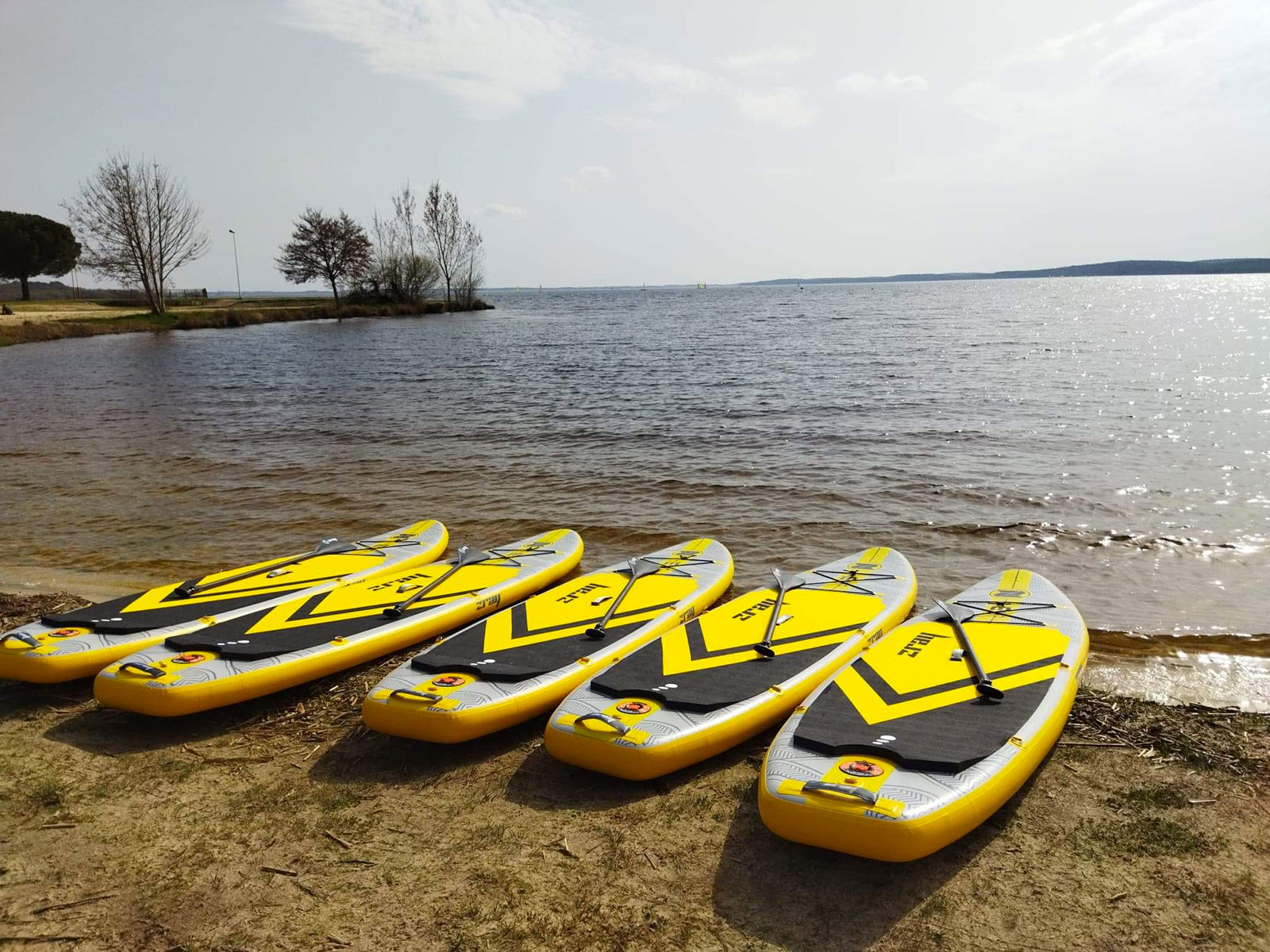 Paddle in Born Canoë Kayak / Pirogue à Biscarrosse Guide des Landes
