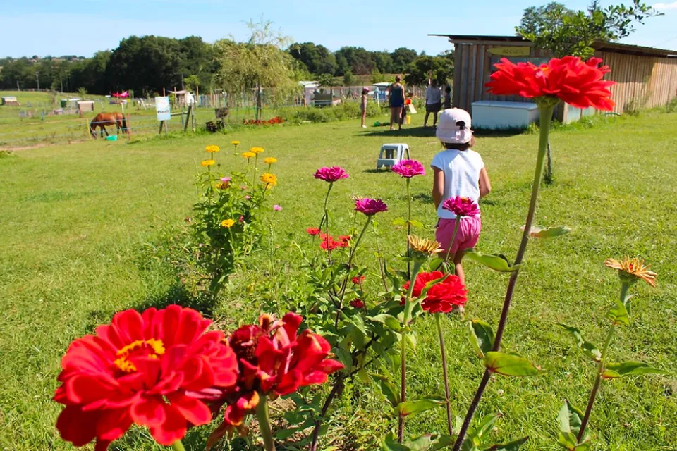 The little farm in Pouillon