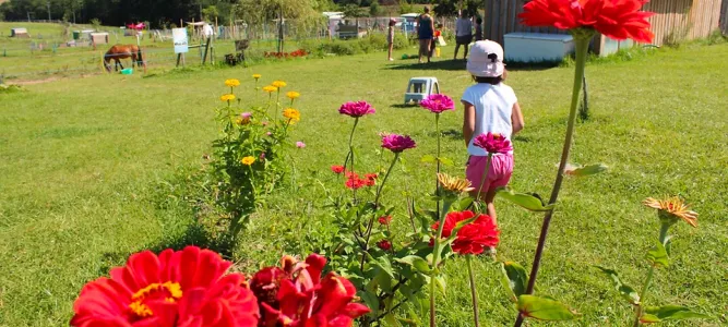The little farm in Pouillon