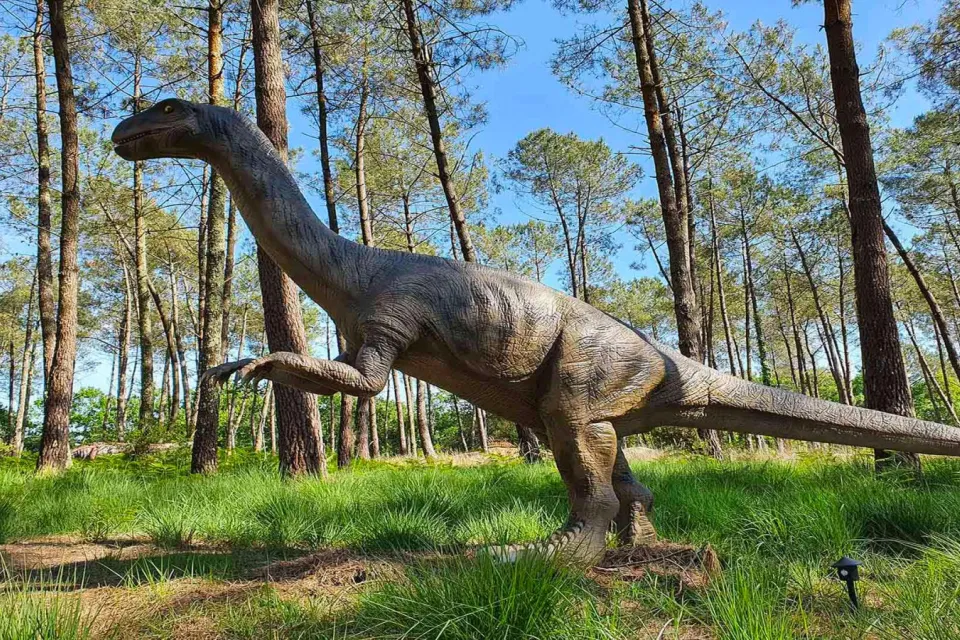 Dinosaur Park