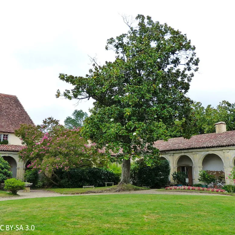 Pépinière Botanique de Gaujacq