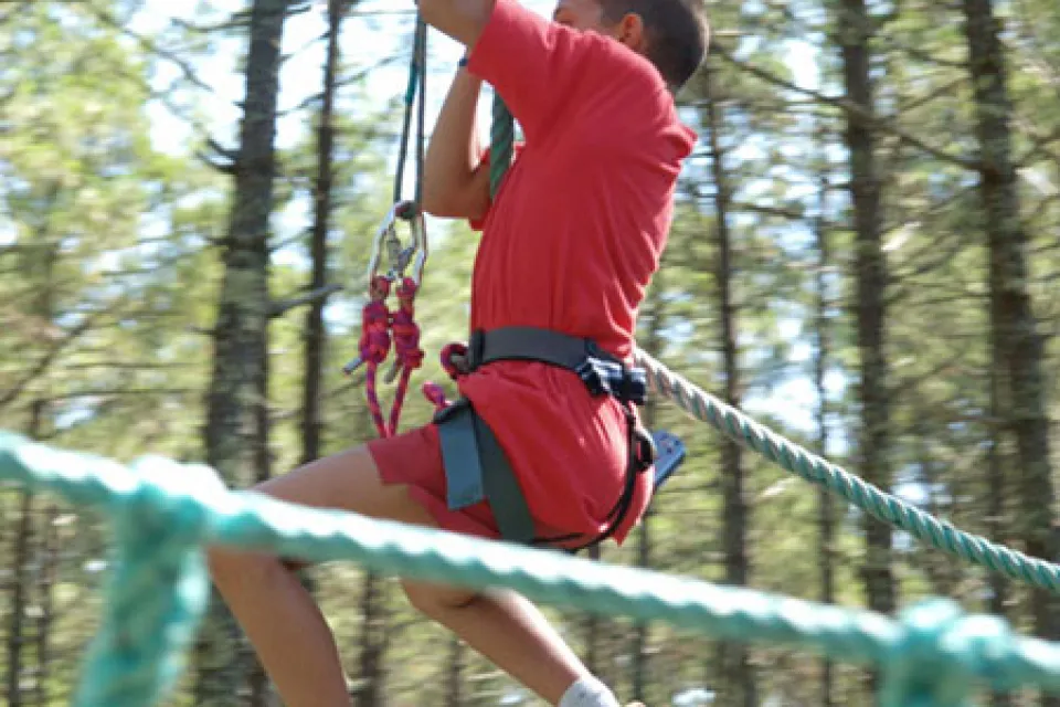 Jungle Park