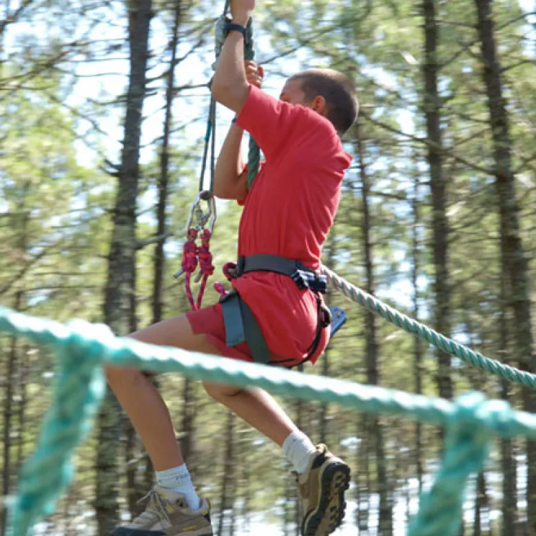 Jungle Park