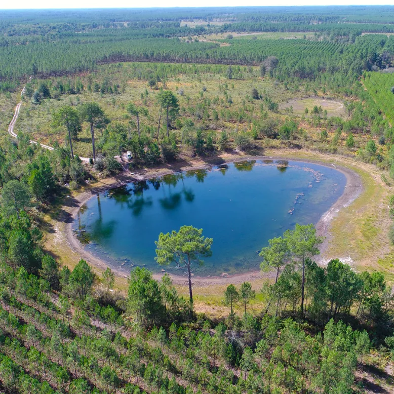Parc naturel régional des Landes de Gascogne