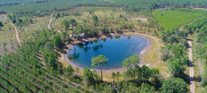 Parc naturel régional des Landes de Gascogne