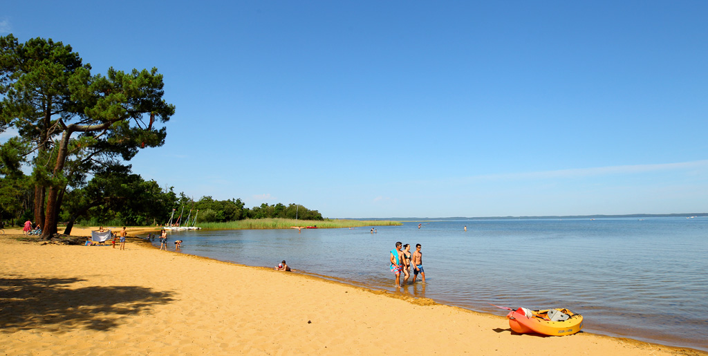 Camping Camp ole Le Lac De Sanguinet Campings Mobil Homes 