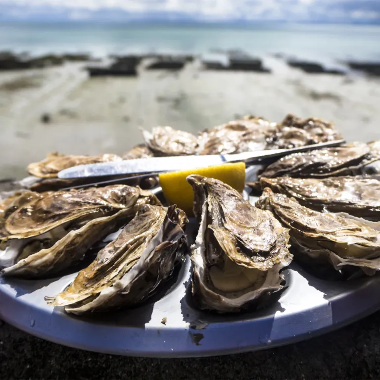 Hossegor oysters