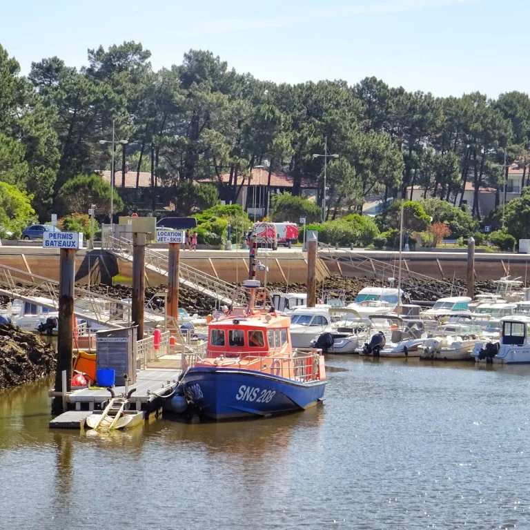 Le marché aux poissons de Capbreton : du batea ...