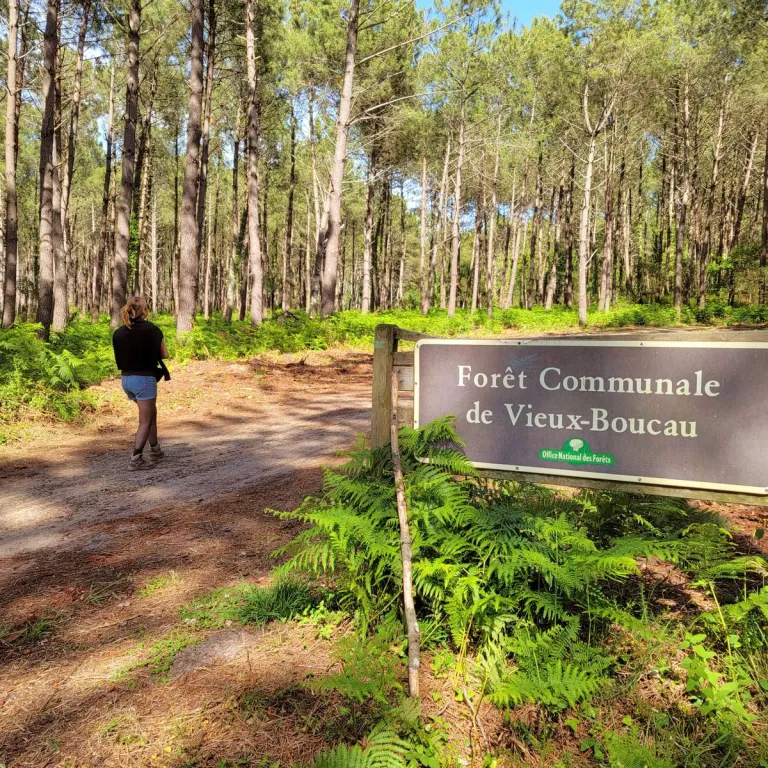 Vieux-Boucau-les-Bains: discovering the Landes ...