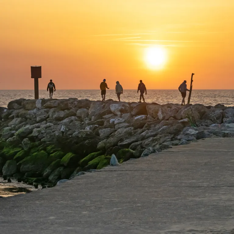 Top 10 things to do on vacation in Mimizan!