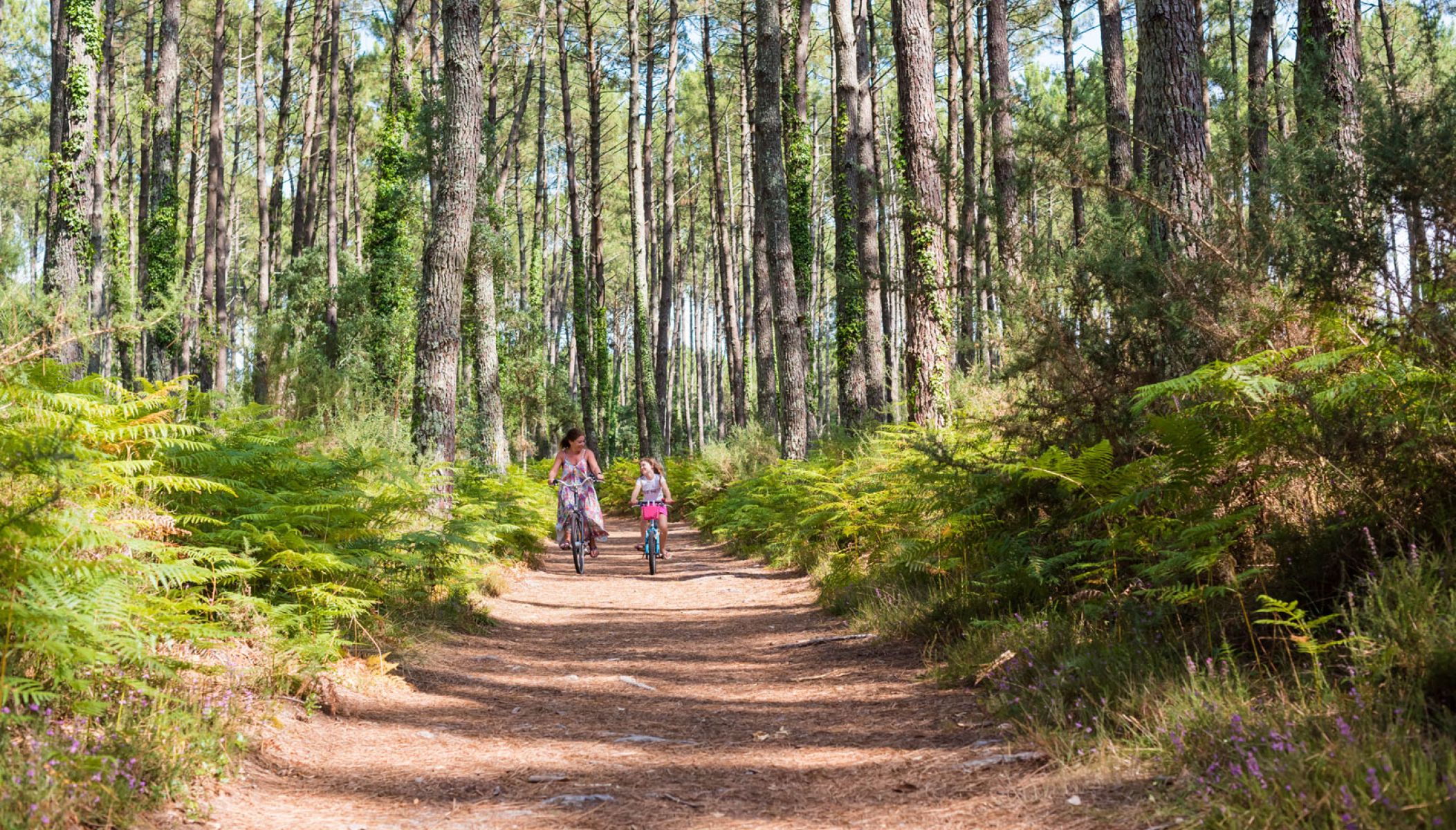 Les Landes, activités et visites pour rester au frais !