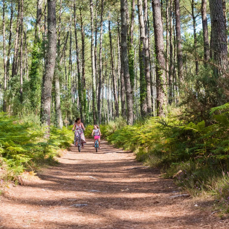 Les Landes, activités et visites pour rester a ...