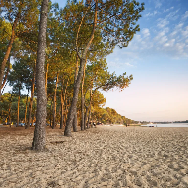 Que faire dans les Landes en automne ? Top 10 ...
