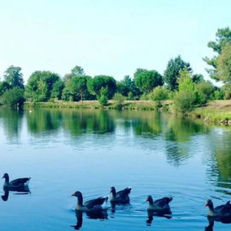 Spring holidays: Tourist sites to see the firs ...