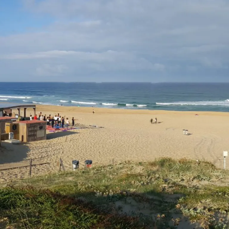 Restaurants de plage dans les Landes : des adr ...