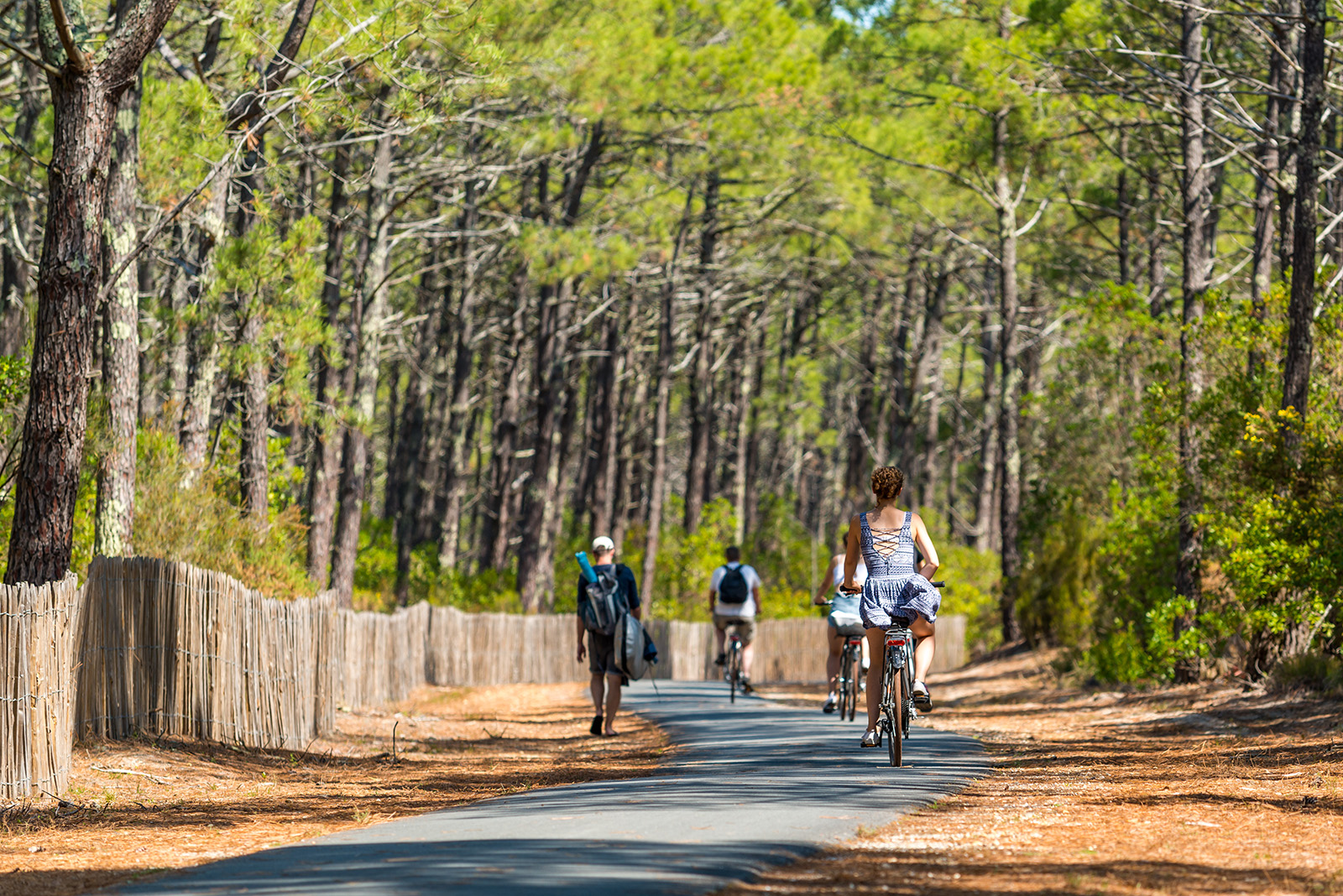 Que faire le dimanche dans les Landes ?
