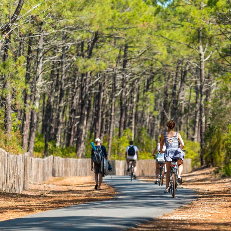 Que faire le dimanche dans les Landes ?