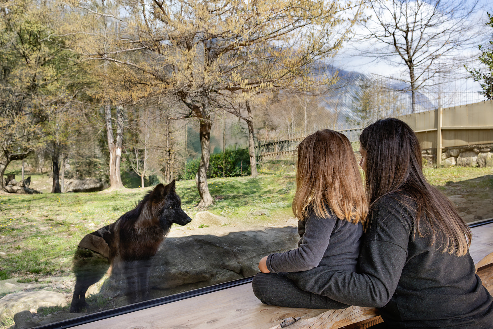 Parc Animalier des Pyrénées : Quittez les pins ...