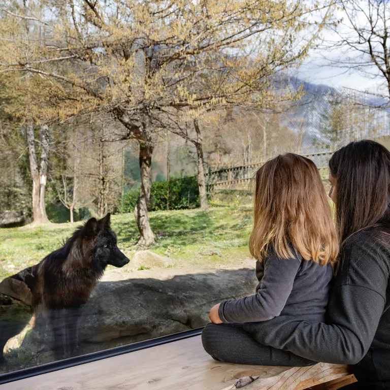 Parc Animalier des Pyrénées : Quittez les pins ...