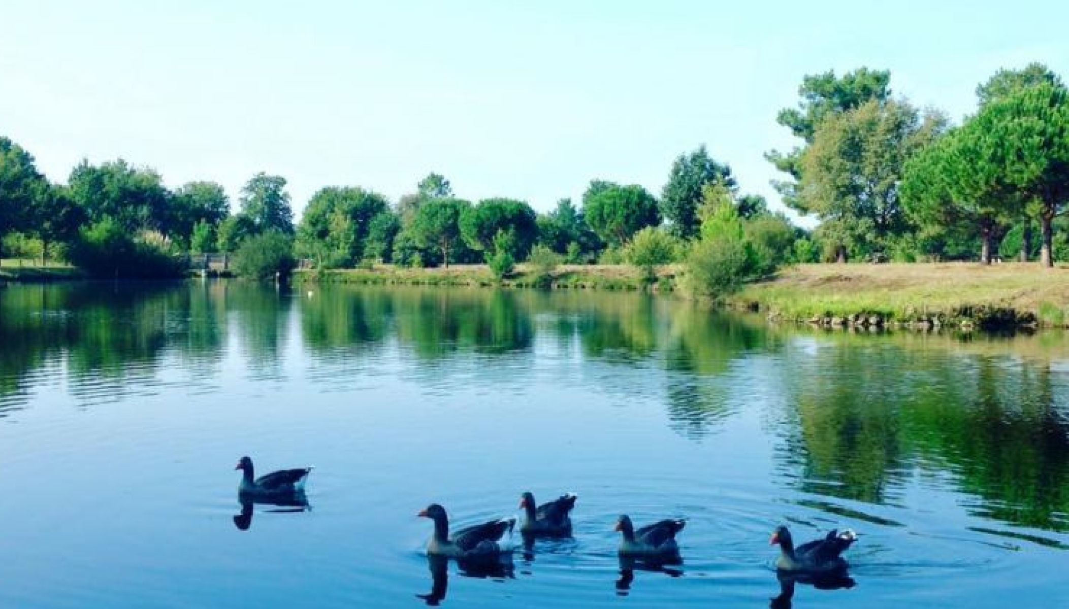 Vacances de printemps : Les sites touristiques pour voir les premiers bourgeons