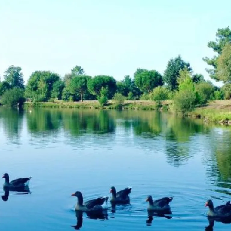 Spring Break: Tourist Sites to See the First Buds