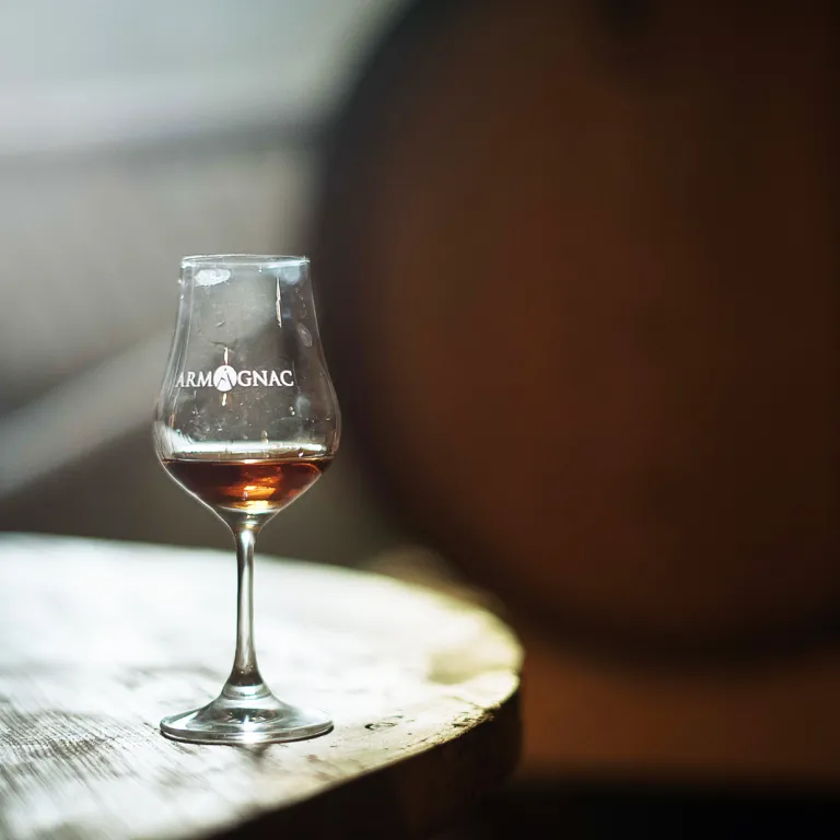 À la découverte des Landes d’Armagnac !