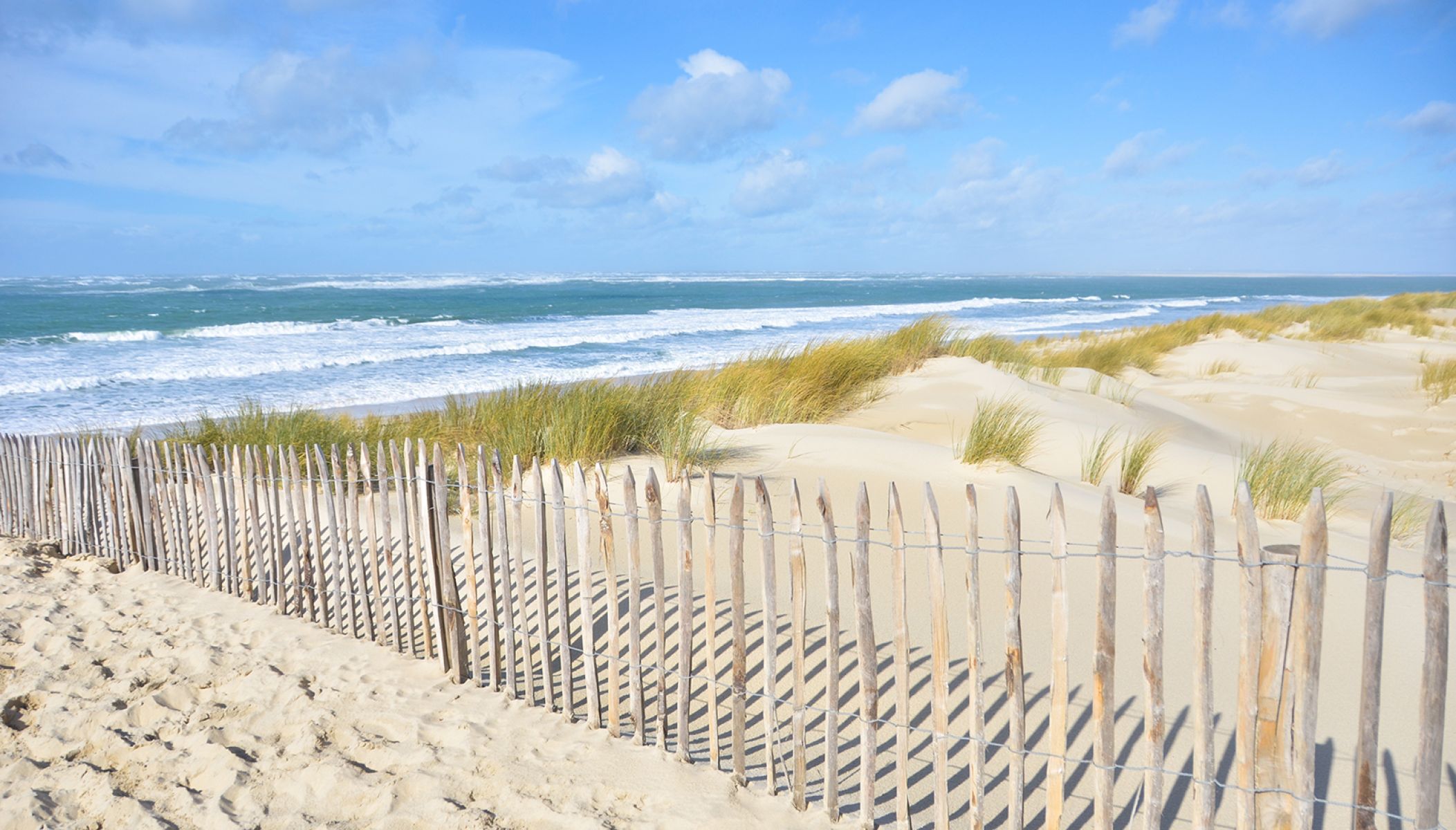 10 expériences landaises incontournables en Côte Landes Nature